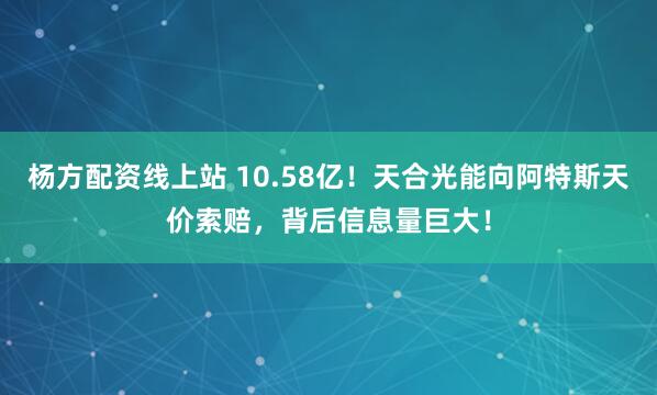 杨方配资线上站 10.58亿！天合光能向阿特斯天价索赔，背后信息量巨大！