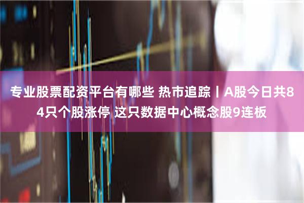 专业股票配资平台有哪些 热市追踪丨A股今日共84只个股涨停 这只数据中心概念股9连板