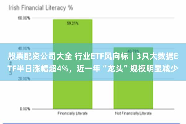 股票配资公司大全 行业ETF风向标丨3只大数据ETF半日涨幅超4%，近一年“龙头”规模明显减少