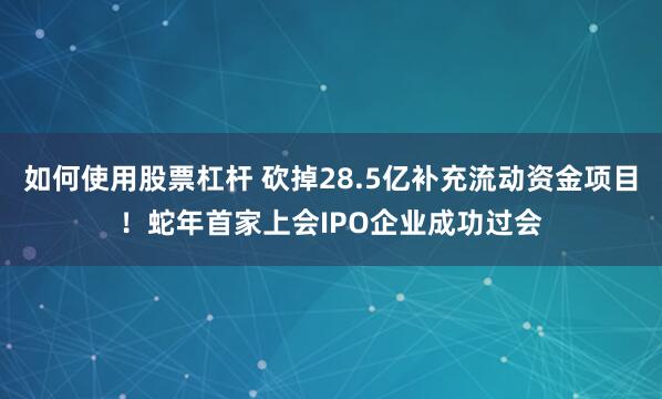 如何使用股票杠杆 砍掉28.5亿补充流动资金项目！蛇年首家上会IPO企业成功过会