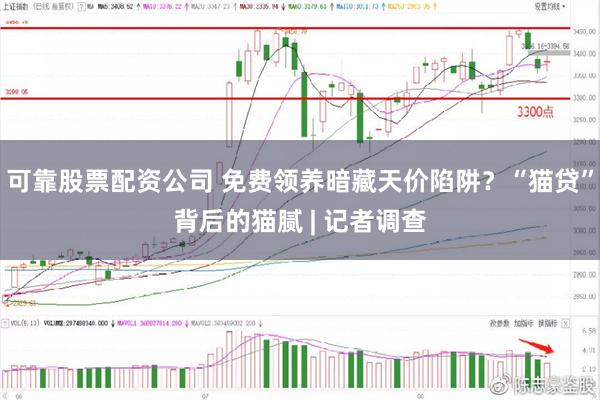 可靠股票配资公司 免费领养暗藏天价陷阱？“猫贷”背后的猫腻 | 记者调查