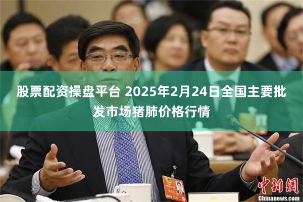 股票配资操盘平台 2025年2月24日全国主要批发市场猪肺价格行情