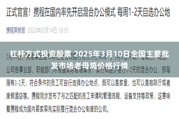 杠杆方式投资股票 2025年3月10日全国主要批发市场老母鸡价格行情